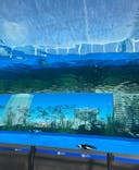 サンシャイン水族館に投稿された画像（2022/1/14）