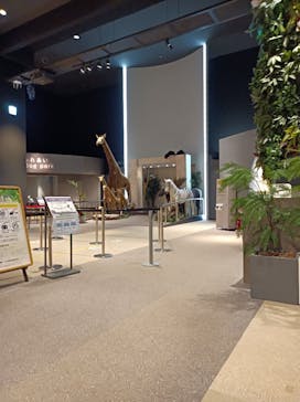 Moff animal world MARK IS みなとみらい店に投稿された画像（2022/1/14）