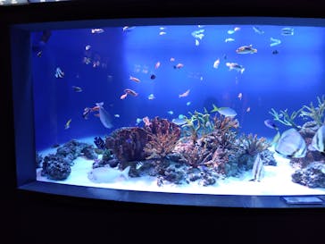 新江ノ島水族館に投稿された画像（2022/1/14）