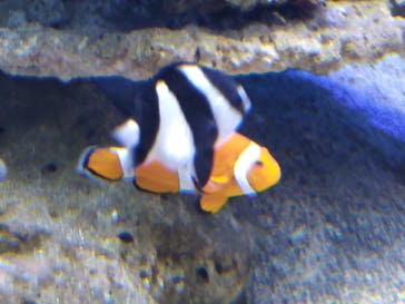 新江ノ島水族館に投稿された画像（2022/1/14）