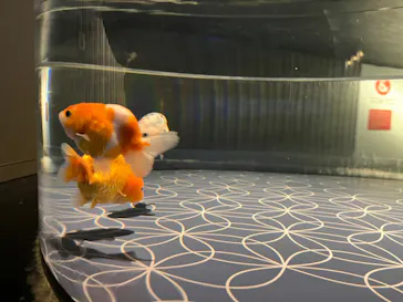 すみだ水族館に投稿された画像（2022/1/14）