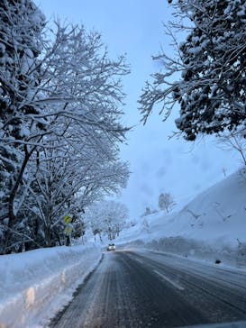 野沢温泉スキー場に投稿された画像（2022/1/14）