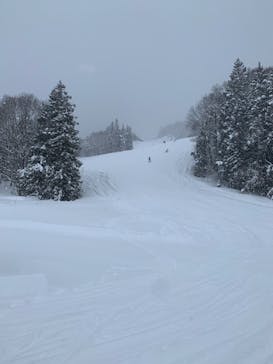 白馬八方尾根スキー場に投稿された画像（2022/1/14）