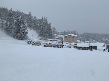 白馬八方尾根スキー場に投稿された画像（2022/1/14）