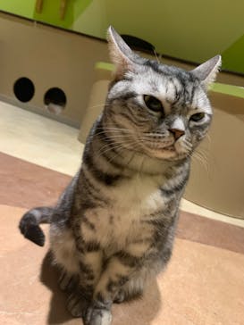 Moff animal world MARK IS みなとみらい店に投稿された画像（2022/1/14）