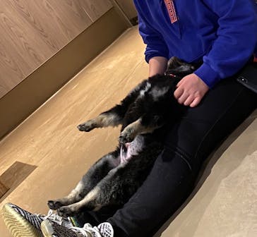 Moff animal world MARK IS みなとみらい店に投稿された画像（2022/1/14）