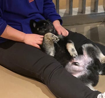 Moff animal world MARK IS みなとみらい店に投稿された画像（2022/1/14）