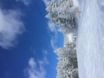 ピラタス蓼科スノーリゾートに投稿された画像（2022/1/14）