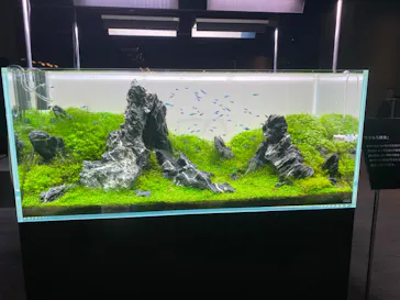 すみだ水族館に投稿された画像（2022/1/14）