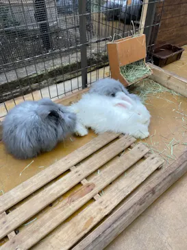 神戸どうぶつ王国に投稿された画像（2022/1/14）