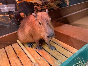 Moff animal world MARK IS みなとみらい店に投稿された画像（2022/1/14）