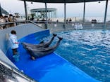 大分マリーンパレス水族館 「うみたまご」に投稿された画像（2022/1/14）