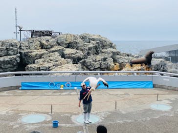 大分マリーンパレス水族館 「うみたまご」に投稿された画像（2022/1/14）