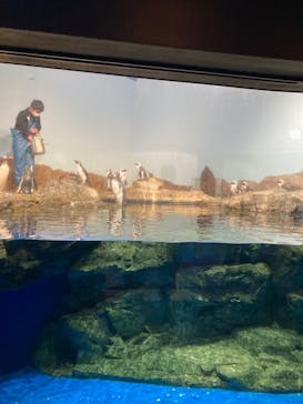 マクセル アクアパーク品川に投稿された画像（2022/1/14）