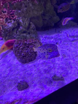 マクセル アクアパーク品川に投稿された画像（2022/1/14）