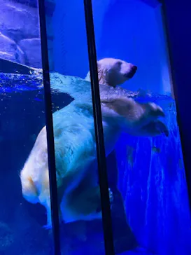 横浜・八景島シーパラダイスに投稿された画像（2022/1/14）