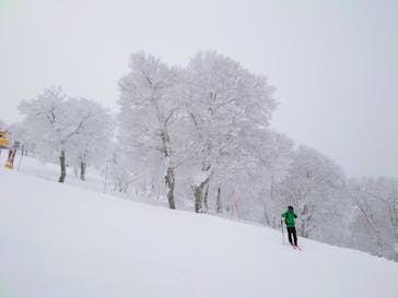 野沢温泉スキー場に投稿された画像（2022/1/14）
