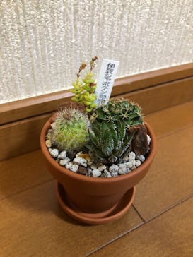 伊豆シャボテン動物公園に投稿された画像（2022/1/15）