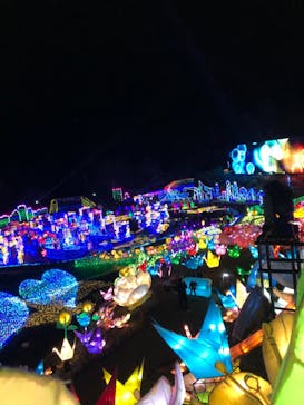 伊豆ぐらんぱる公園に投稿された画像（2022/1/15）