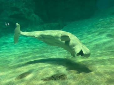 名古屋港水族館に投稿された画像（2022/1/15）