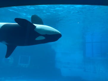 名古屋港水族館に投稿された画像（2022/1/15）