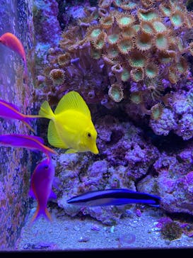 マクセル アクアパーク品川に投稿された画像（2022/1/15）