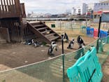 名古屋港水族館に投稿された画像（2022/1/15）