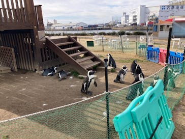名古屋港水族館に投稿された画像（2022/1/15）