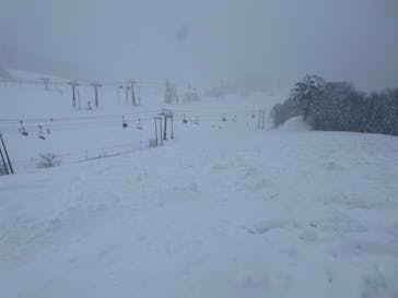 Hakuba47ウィンタースポーツパークに投稿された画像（2022/1/15）