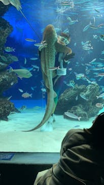 サンシャイン水族館に投稿された画像（2022/1/15）