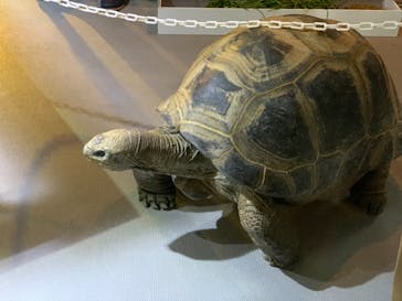 神戸みなと温泉 蓮に投稿された画像（2022/1/15）