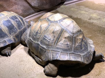 神戸みなと温泉 蓮に投稿された画像（2022/1/15）