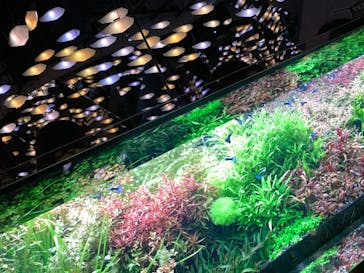 神戸みなと温泉 蓮に投稿された画像（2022/1/15）