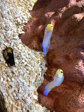 神戸みなと温泉 蓮に投稿された画像（2022/1/15）