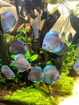 神戸みなと温泉 蓮に投稿された画像（2022/1/15）