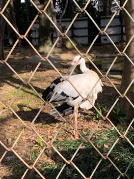 天王寺動物園に投稿された画像（2022/1/15）