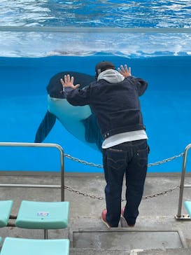 名古屋港水族館に投稿された画像（2022/1/15）