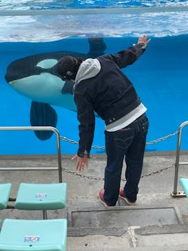 名古屋港水族館に投稿された画像（2022/1/15）