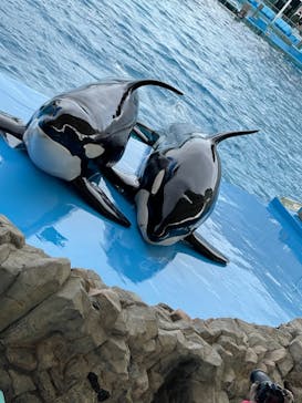 名古屋港水族館に投稿された画像（2022/1/15）