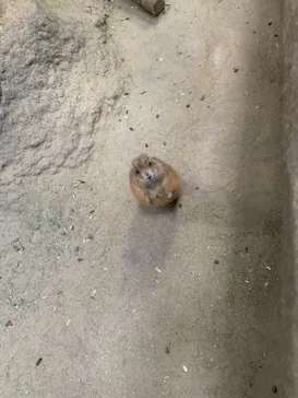 神戸どうぶつ王国に投稿された画像（2022/1/15）