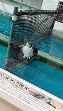 名古屋港水族館に投稿された画像（2022/1/15）