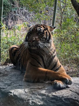 よこはま動物園ズーラシアに投稿された画像（2022/1/15）