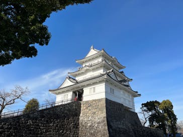 小田原城に投稿された画像（2022/1/15）