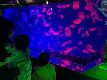 名古屋港水族館に投稿された画像（2022/1/15）