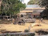 よこはま動物園ズーラシアに投稿された画像（2022/1/15）