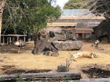 よこはま動物園ズーラシアに投稿された画像（2022/1/15）