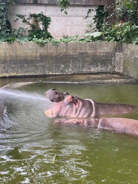 沖縄こどもの国に投稿された画像（2022/1/15）