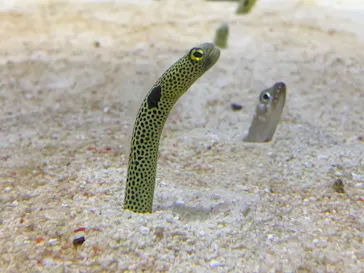 すみだ水族館に投稿された画像（2022/1/15）