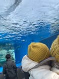 サンシャイン水族館に投稿された画像（2022/1/15）
