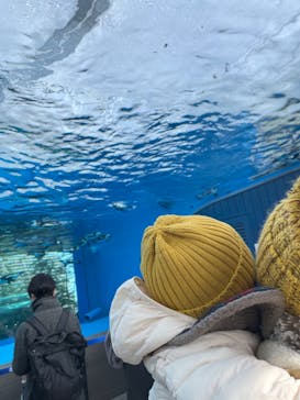 サンシャイン水族館に投稿された画像（2022/1/15）